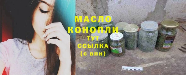 хмурый Сосновка