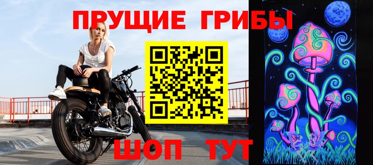 Галлюциногенные грибы Psilocybine cubensis  цена наркотик  Мариинск  Галлюциногенные грибы GOLDEN TEACHER 