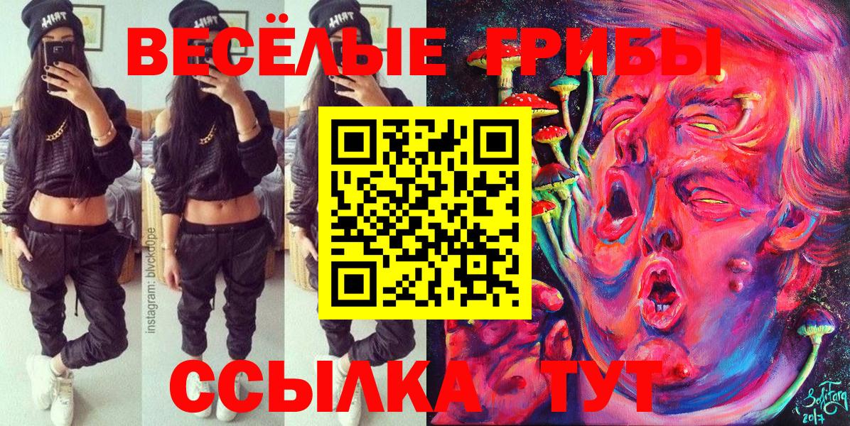Псилоцибиновые грибы мицелий Мариинск