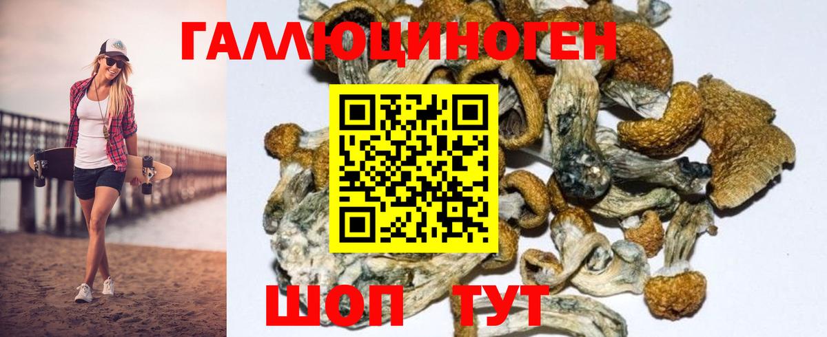 Мариинск  Галлюциногенные грибы MAGIC MUSHROOMS  Псилоцибиновые грибы Magic Shrooms  Вход с VPN 